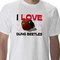 Dung beetles1.jpg