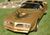 GoldTransam.JPG