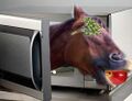 Microwaved horse.jpg