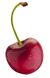 Cherry.jpg