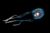 Irukandji jellyfish.png
