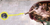 Ungod.PNG