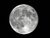 MoonFlag.jpg