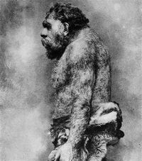 Neanderthal sketch.jpg