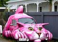 Cat car.jpg