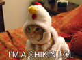 Chikinlol.PNG