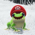 Super Mario Odyssey Possessed Frog.jpg
