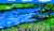 OTKRC.png