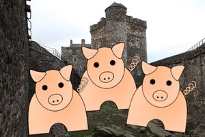 Blackness Castle with pigs