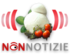 LogoNonNotizie.png