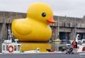 Big duck1.jpg