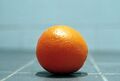Citrus sinensis close-up.jpg