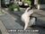 Cat curse.jpg