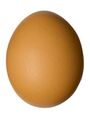 Egg-brown.jpg