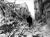 Russia Quake BW 1.jpg