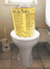 Constitution-flush.gif