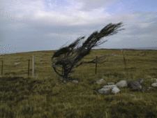 Durness - Uncyclopedia, the content-free encyclopedia