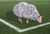 PlasticSheep.jpg