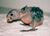 AmazonParrot.jpg