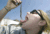 Eating worm.gif