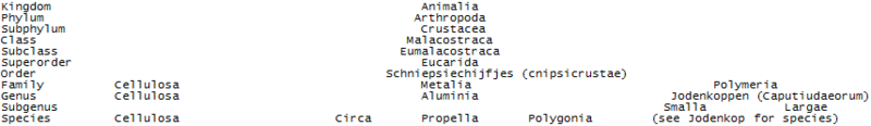 File:Ss1.2.2.png
