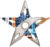 Cyberstar.png