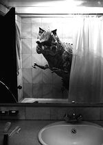 T Rex in shower.jpg