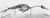 Hesperornis.gif
