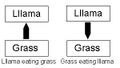 Lllama-grass.psd.jpg