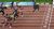 Usain run.jpeg