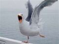 Thumbnail for version as of 17:02, 7 July 2012