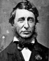 486px-Henry David Thoreau.jpg