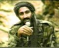 Osama bin Laden.jpg