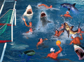 Shark water polo.PNG