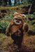 Ewok1.jpg