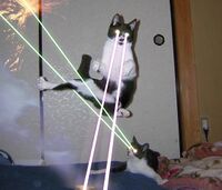 LaserCats.jpg