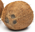 CoconutW.png
