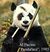 Pandaface screenshot.jpg