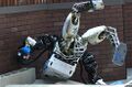 DARPA robot falls.jpg