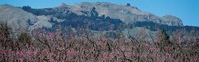 Te Mata Peak8.jpg