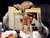 Oh My God moments.gif