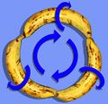 Infinite banana.jpg