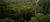 Amazon Rainforest.jpg