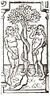 Adamandevewoodcut.jpg