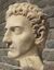 Nerva1.jpg