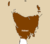Pubic hair.png