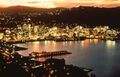 Wellington night.jpg