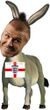 Beckhamdonkey10.jpg