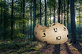 Thumbnail for version as of 19:46, 4 May 2023