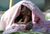 Monkey-picking-nose-under-pink-blanket.jpg